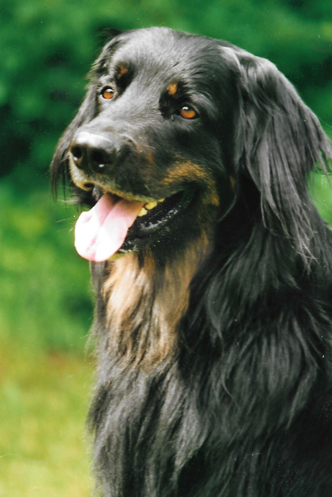 Etienne vom Georgenberg